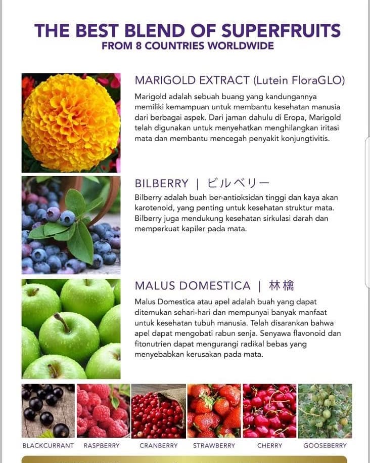 Jual Luteen Sharp Resmi BPOM Minuman Buah Beri 4
