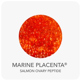 ing-marine